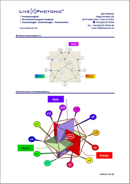 Muster Labrbericht Seite 1