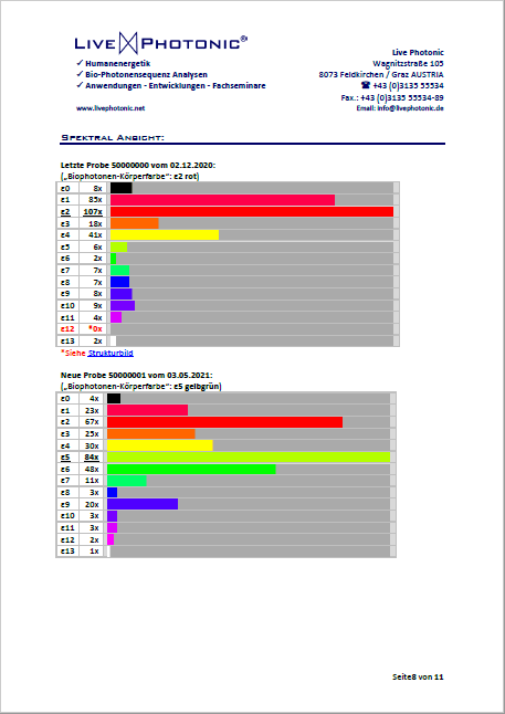Muster Labrbericht Seite 1